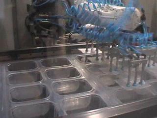 Bubble pad insert into punnet